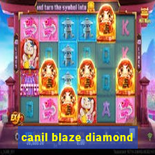 canil blaze diamond